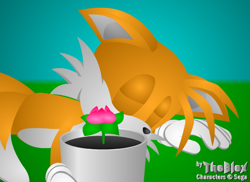 Size: 550x400 | Tagged: safe, artist:theblox, miles "tails" prower, fanfic:taismo reunite, 2007, daytime, eyes closed, fanfiction art, grass, lineless, lying down, lying on front, outdoors, plant, plant pot, sleeping, solo