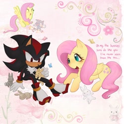 Size: 2048x2048 | Tagged: safe, artist:_bbutterfry, shadow the hedgehog, rabbit, crossover, duo, fluttershy, literal animal, my little pony, pegasus, pony