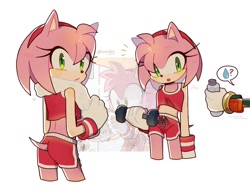 Size: 1024x775 | Tagged: safe, artist:ureuizy, amy rose, shadow the hedgehog, bottle, duo, reference inset, solo focus, towel, weightlifting, workout outfit