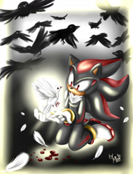 Size: 900x1171 | Tagged: safe, artist:mino-the-cat, shadow the hedgehog, bird, hedgehog, 2012, ambiguous gender, blood, crow, crying, dove, duo focus, feather, flying, glowing, group, kneeling, lineless, literal animal, looking at each other, male, signature, tears