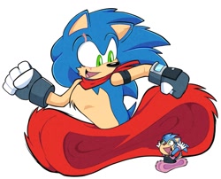 Size: 1327x1070 | Tagged: safe, artist:tvict101, sonic the hedgehog, oc, oc:riri acorn, chipmunk, hedgehog, 2022, child, duo, fankid, father and child, father and daughter, female, happy, male, parent:sally, parent:sonic, parents:sonally, running, scar, scarf, simple background, white background