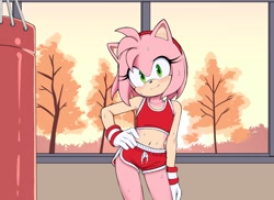 Size: 2092x1527 | Tagged: safe, artist:loweeian_dave, amy rose, blushing, female, hand on hip, midriff, punching bag, shorts, sweat, workout outfit