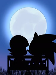 Size: 1536x2048 | Tagged: safe, artist:apontedavid543, sally acorn, sonic the hedgehog, chao, 2025, backlighting, bench, duo, female, hugging, looking at each other, male, moon, nighttime, sally x sonic, sally's ringblader outfit, shadow (lighting), shipping, sitting, straight