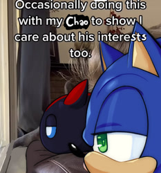 Size: 838x900 | Tagged: safe, artist:seasaltcosmos, sonic the hedgehog, chao, hedgehog, 2026, agender, caption, character chao, couch, duo, english text, lidded eyes, looking offscreen, male, meme, photographic background, shadow chao, text, window