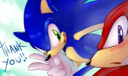 Size: 800x480 | Tagged: safe, artist:evmousser, knuckles the echidna, sonic the hedgehog, echidna, hedgehog, 2010, blushing, duo, duo male, english text, looking at viewer, male, males only, mouth open, smile, text, v sign