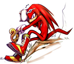 Size: 600x526 | Tagged: safe, artist:evmousser, knuckles the echidna, echidna, squirrel, 2010, ambiguous gender, boots, duo, eyewear on head, frown, grass, leg up, literal animal, looking at viewer, male, outdoors, rock, shoelaces, signature, simple background, sitting, sunglasses, surprised, treads, white background