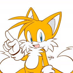 Size: 1961x1961 | Tagged: safe, artist:woniksonik, miles "tails" prower, fox, 2026, flat colors, looking at viewer, male, mouth open, pointing, signature, simple background, smile, solo, standing, white background