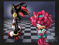 Size: 950x731 | Tagged: safe, artist:chibi-jen-hen, shadow the hedgehog, oc, oc:jade the cat, cat, 2008, arms folded, crying, duo, frown, lidded eyes, sad, signature, standing, tears, tears of sadness