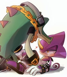 Size: 1750x2000 | Tagged: safe, artist:eatlrj, espio the chameleon, vector the crocodile, 2025, duo, gay, heart, looking at each other, looking at them, male, shipping, simple background, sitting, vecpio, white background