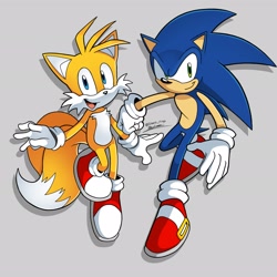 Size: 2048x2048 | Tagged: safe, artist:silvers_rings, miles "tails" prower, sonic the hedgehog, fox, hedgehog, 2026, duo, looking at viewer, male, simple background