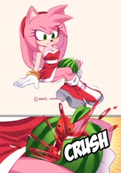 Size: 1750x2500 | Tagged: safe, artist:inked_whimsy, amy rose, hedgehog, 2026, alternate outfit, amy x shadow, comic, english text, female, fruit, shipping, sitting, solo, straight, watermelon