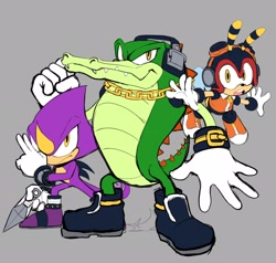 Size: 2048x1950 | Tagged: safe, artist:mimiipyon, charmy bee, espio the chameleon, vector the crocodile, 2026, flat colors, flying, frown, grey background, holding something, kunai knife, mid-air, mouth open, posing, simple background, standing, team chaotix, trio