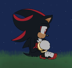 Size: 1536x1454 | Tagged: safe, artist:aridombo, shadow the hedgehog, 2025, flat colors, frown, grass, looking offscreen, nighttime, outdoors, sad, side view, sitting, solo, star (sky)