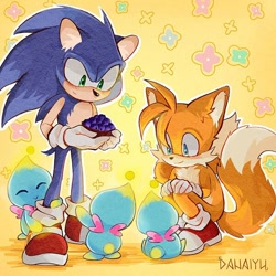 Size: 600x600 | Tagged: safe, artist:danaiyu, miles "tails" prower, sonic the hedgehog, chao, 2026, blueberry, blushing, crouching, ear fluff, eyes closed, flower, food, fuit, gay, group, holding something, looking at them, neutral chao, outline, shipping, signature, sitting, smile, sonic x tails, standing