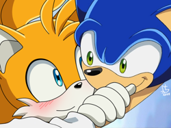 Size: 640x479 | Tagged: safe, artist:la_gata_golosa_, editor:la gata golosa, miles "tails" prower, sonic the hedgehog, sonic x, 2025, blushing, close-up, duo, edit, fake screenshot, gay, holding each other, hugging, shipping, signature, smile, sonic x tails