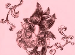 Size: 750x552 | Tagged: safe, artist:dgshadowchocolate, amy rose, shadow the hedgehog, 2014, age difference, amy x shadow, blushing, duo, eyes closed, holding each other, hugging, kiss, monochrome, shipping, standing, straight