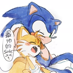 Size: 1894x1894 | Tagged: safe, artist:pupu77859245726, miles "tails" prower, sonic the hedgehog, 2026, age difference, blushing, chinese text, cute, dialogue, duo, eyes closed, gay, mouth open, nuzzle, one eye closed, one fang, open smile, shipping, simple background, sitting, smile, sonabetes, sonic x tails, speech bubble, tailabetes, white background