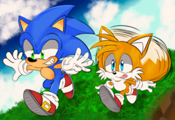 Size: 1280x876 | Tagged: safe, artist:lukastarfall, miles "tails" prower, sonic the hedgehog, sonic prime, 2026, abstract background, age difference, arms out, clouds, cute, daytime, duo, gay, grass, looking ahead, looking offscreen, outdoors, running, shipping, smile, sonabetes, sonic x tails, spinning tails, tailabetes, tongue out, treads