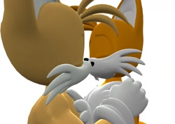 Size: 1520x1080 | Tagged: safe, artist:katfox, miles "tails" prower, oc, oc:sunny the fox, fox, 2025, aged up, canon x oc, duo, eyes closed, gay, holding them, kiss, shipping, simple background, sunny x tails, white background