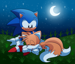 Size: 3511x3000 | Tagged: safe, artist:domestic maid, miles "tails" prower, sonic the hedgehog, fox, hedgehog, 2026, abstract background, duo, eyes closed, grass, looking at them, lying down, moon, mouth open, nighttime, outdoors, sitting, sleeping, smile, sonic and tails: brotherhood, star (sky)