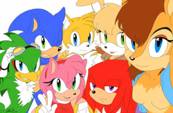 Size: 1024x672 | Tagged: safe, artist:f-sonic, amy rose, bunnie rabbot, jet the hawk, miles "tails" prower, sally acorn, sonic the hedgehog, bird, chipmunk, echidna, fox, hedgehog, rabbit, 2013, arm around shoulders, breasts, deroboticized, featureless breasts, female, flat colors, frown, goggles, group, hawk, lidded eyes, looking at viewer, male, mouth open, sally's vest and boots, selfie, simple background, tongue out, v sign, white background, wink