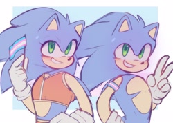 Size: 2048x1456 | Tagged: safe, artist:mephychiquita, sonic the hedgehog, 2026, duo, flag, pride, scar, self paradox, smile, top surgery scars, trans boy sonic, trans female, trans girl sonic, trans male, trans pride, trans visibility day, transgender, v sign