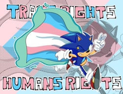 Size: 2048x1563 | Tagged: safe, artist:pestilhoarts, sonic the hedgehog, 2026, cape, echo background, english text, looking at viewer, positivity, running, smile, solo, star (symbol), text, trans pride, trans rights, trans visibility day, treads, v sign, wink