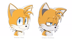 Size: 2048x1182 | Tagged: safe, artist:thatbirdguy_, miles "tails" prower, sonic frontiers, 2026, alternate universe, au:tails frontiers, bust, dark bags under eyes, duality, frown, lidded eyes, looking at viewer, messy fur, simple background, smile, solo, tired, white background