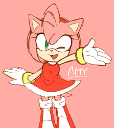 Size: 677x758 | Tagged: safe, artist:pokunchan, amy rose, arms out, character name, flat colors, mouth open, open smile, pink background, simple background, smile, solo, wink