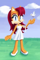 Size: 1353x2048 | Tagged: safe, artist:cloudb1991, sally acorn, bird, chipmunk, 2026, alternate outfit, alternate version, cloud, daytime, dress, duo, female, grass, grass field, literal animal, looking at viewer