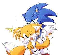 Size: 800x732 | Tagged: safe, artist:tlskwi, miles "tails" prower, sonic the hedgehog, 2019, blushing, crying, duo, ear bite, gay, looking at each other, one eye closed, shipping, simple background, sonic x tails, surprised, tail grab, tears, white background