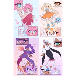 Size: 1440x1440 | Tagged: safe, artist:hallsth_eien, amy rose, blaze the cat, cheese (chao), cream the rabbit, rouge the bat, bat, cat, chao, hedgehog, human, rabbit, dress, female, humanized