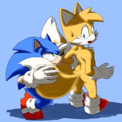 Size: 800x800 | Tagged: safe, artist:giga, miles "tails" prower, sonic the hedgehog, 2017, 2026, blue background, duo, fangs, holding something, holding tail, looking at each other, male, mouth open, shadow (lighting), simple background, smile, standing, sweatdrop