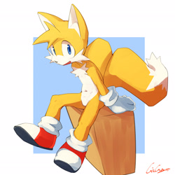 Size: 2048x2048 | Tagged: safe, artist:giga, miles "tails" prower, 2025, belly button, looking at viewer, mouth open, one fang, signature, sitting, smile, solo, treads