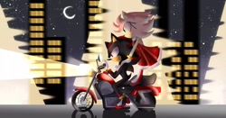 Size: 1024x538 | Tagged: safe, artist:fate7shadow, amy rose, shadow the hedgehog, hedgehog, 2021, amy x shadow, building, city, duo, female, light, looking offscreen, male, moon, motorcycle, nighttime, riding, shipping, skyscraper, star (sky), straight, street, street light, vehicle