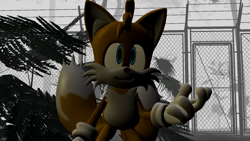 Size: 1920x1080 | Tagged: safe, artist:greatwhite studios, miles "tails" prower, fox, 3d, fog, jungle, looking offscreen, mouth open, open smile, outdoors, palm tree, screencap, smile, solo