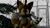 Size: 1920x1080 | Tagged: safe, artist:greatwhite studios, miles "tails" prower, fox, 3d, fog, jungle, looking offscreen, male, mouth open, open smile, outdoors, palm tree, screencap, smile, solo