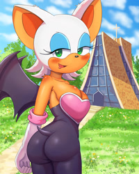 Size: 2800x3500 | Tagged: suggestive, artist:boaz2038, rouge the bat, bat, arm behind back, blushing, building, clouds, daytime, female, field, grass, grass field, looking at viewer, looking back, looking back at viewer, mouth open, open smile, outdoors, shoulder fluff, smile, smiling at viewer, solo, solo female