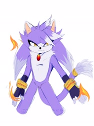 Size: 1536x2048 | Tagged: safe, artist:sora_drawing_0, oc, oc:light the cat (sora drawing 0), cat, 2023, english text, fankid, flame, looking offscreen, male, parent:blaze, parent:silver, parents:silvaze, pose, simple background, sketch, solo, standing