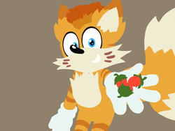 Size: 1600x1200 | Tagged: safe, mangey, miles "tails" prower, fox, sonic prime, anonymous artist, berry, food, fruit, grin, lineless, looking at viewer, male, reaching towards the viewer, simple background, smile, smiling at viewer, solo
