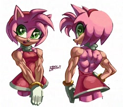 Size: 2048x1775 | Tagged: safe, artist:thecorderra, amy rose