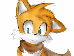 Size: 1024x768 | Tagged: safe, artist:shady-dayz, miles "tails" prower, 2014, ear flop, looking at viewer, male, scarf, simple background, sketch, smile, solo, white background