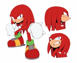 Size: 2048x1685 | Tagged: safe, artist:thatbirdguy_, knuckles the echidna, 2026, clenched fists, flat colors, frown, looking at viewer, looking offscreen, simple background, smile, solo, standing, white background