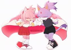 Size: 2048x1446 | Tagged: safe, artist:tokkittyart, amy rose, blaze the cat, 2026, amy x blaze, duo, holding something, lesbian, pride, pride flag, pride month, sapphic, sapphic pride, shipping, simple background, smile, white background