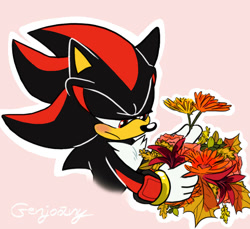 Size: 900x823 | Tagged: safe, artist:genjoany, shadow the hedgehog, 2016, bust, flower, frown, holding something, lidded eyes, looking at something, outline, pink background, signature, simple background, solo