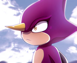 Size: 2125x1734 | Tagged: safe, artist:kaenviii, espio the chameleon, lizard, chameleon, cloud, frown, male, sky, solo