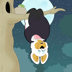 Size: 627x630 | Tagged: safe, artist:toonidae, rouge the bat, bat, female, moon, nighttime, solo, star (sky), tree, upside down