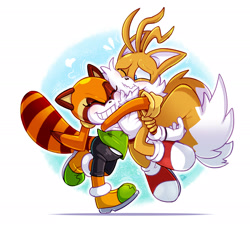 Size: 2245x2035 | Tagged: safe, artist:francoisl-artblog, marine the raccoon, miles "tails" prower, 2026, blushing, duo, eye twitch, eyes closed, gradient background, heart, hugging, one eye closed, outline, smile