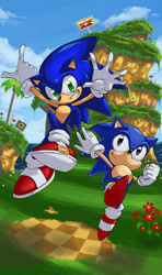 Size: 900x1517 | Tagged: safe, artist:evilqueenie, sonic the hedgehog, fox, hedgehog, green hill zone, 2011, classic sonic, clouds, daytime, duo, flower, goal post, grass, looking at them, looking at viewer, male, mid-air, monitor, outdoors, palm tree, ring monitor, self paradox, smile, sonic generations, treads, tree