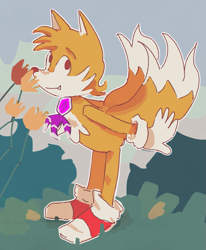 Size: 1187x1443 | Tagged: safe, artist:mxsxbxl, miles "tails" prower, fox, 2024, bending over, daytime, flower, grass, looking at viewer, lotus, male, one fang, outline, plant, rhythm badge, smile, solo